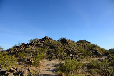 DSC_1850 (Large).JPG